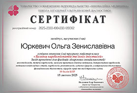 ���������� ������� �����������